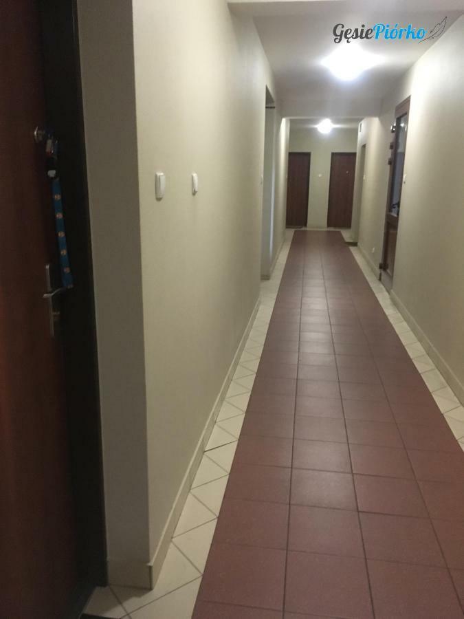 Apartment Gesie Piorko