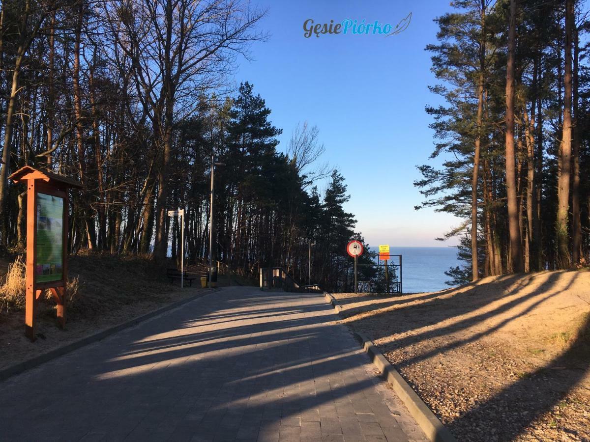 Apartment Gesie Piorko Jastrzebia Gora